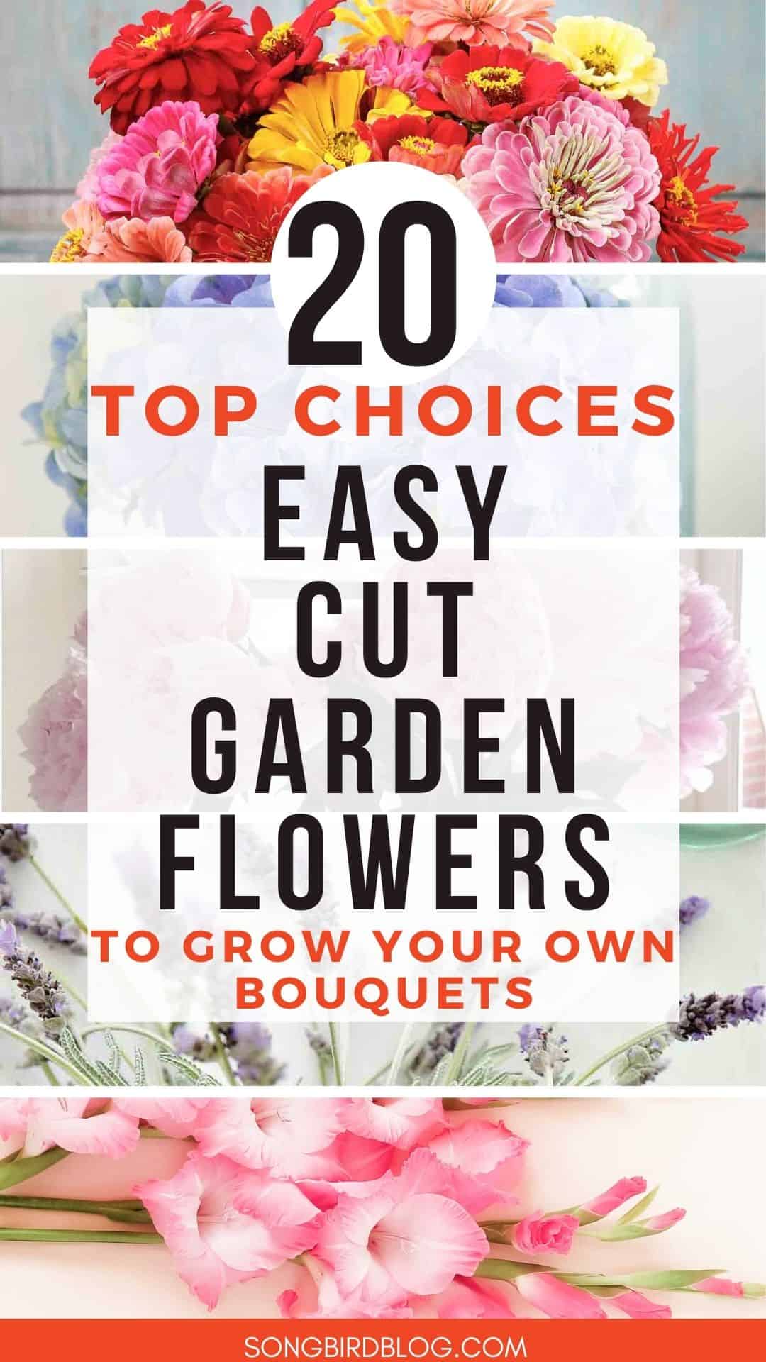 Grid of five images of flowers with text overlay: 20 top choices easy cut garden flowers.