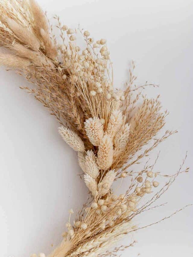 DIY easy fall wheat wreath.