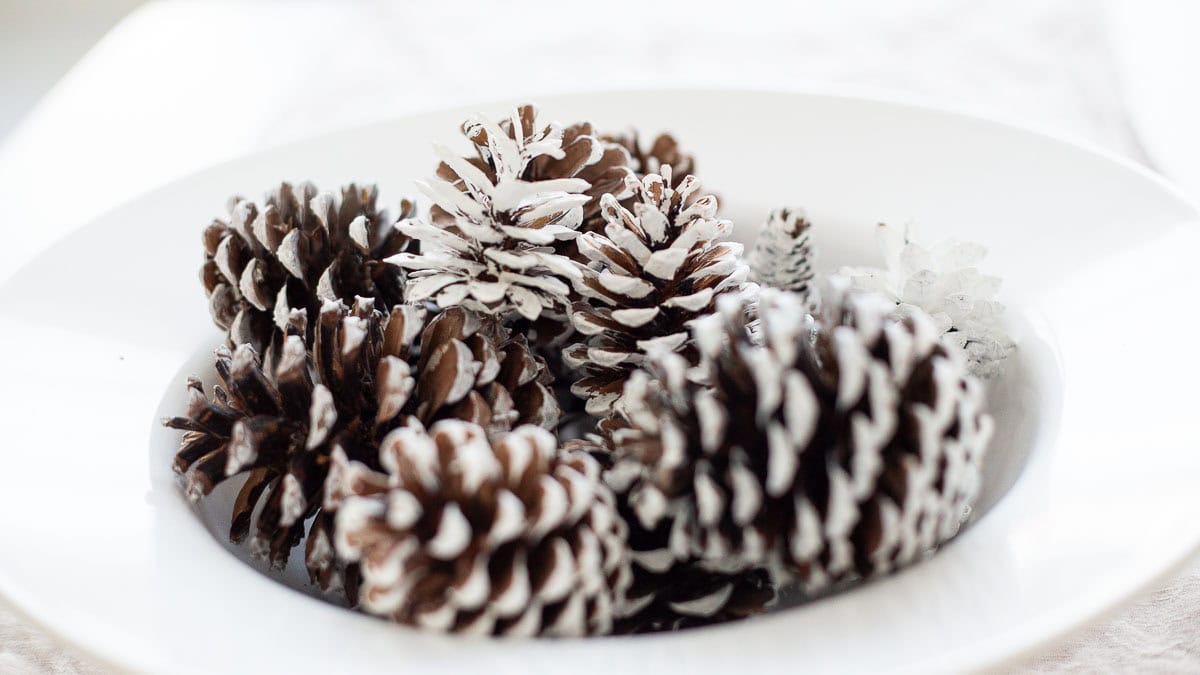 Frosted pinecones in a wide rimmed decorative bowl.