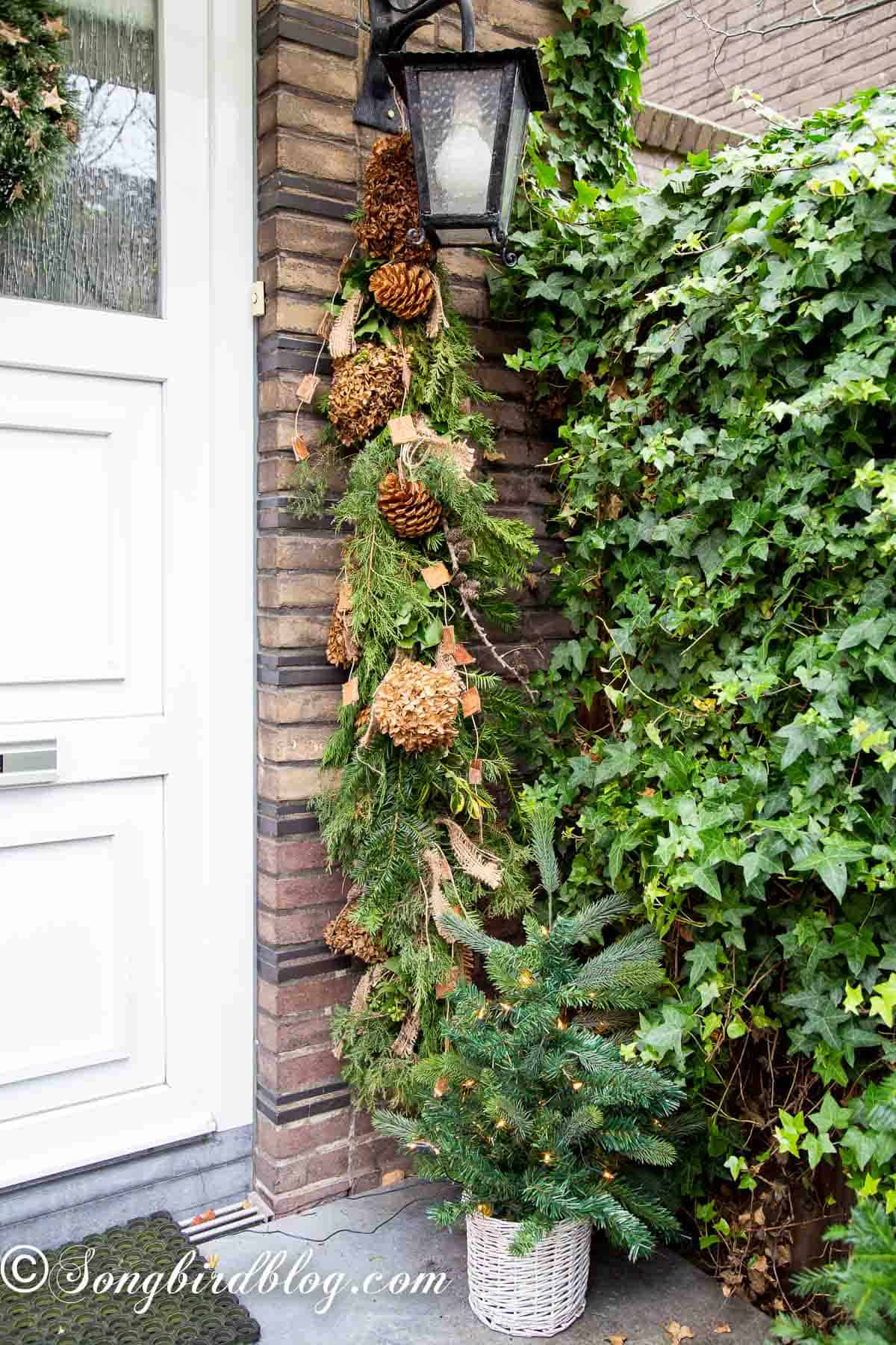 Rustic front door Christmas garland made of evergreens and pinecones draped beside a front door.
