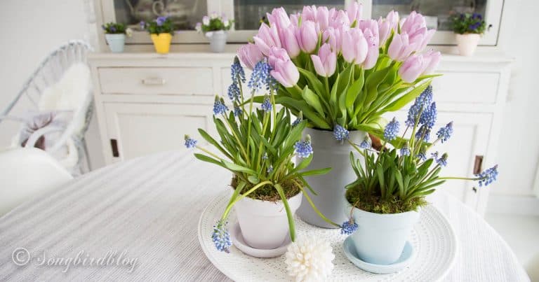 What Is The Best Paint for DIY Painted Terracotta Pots?