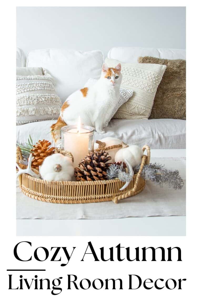 Closeup of a decorated fall tray in a living room with a cute cat looking at the camera behind it. Text overlay: cozy autumn living room decor.