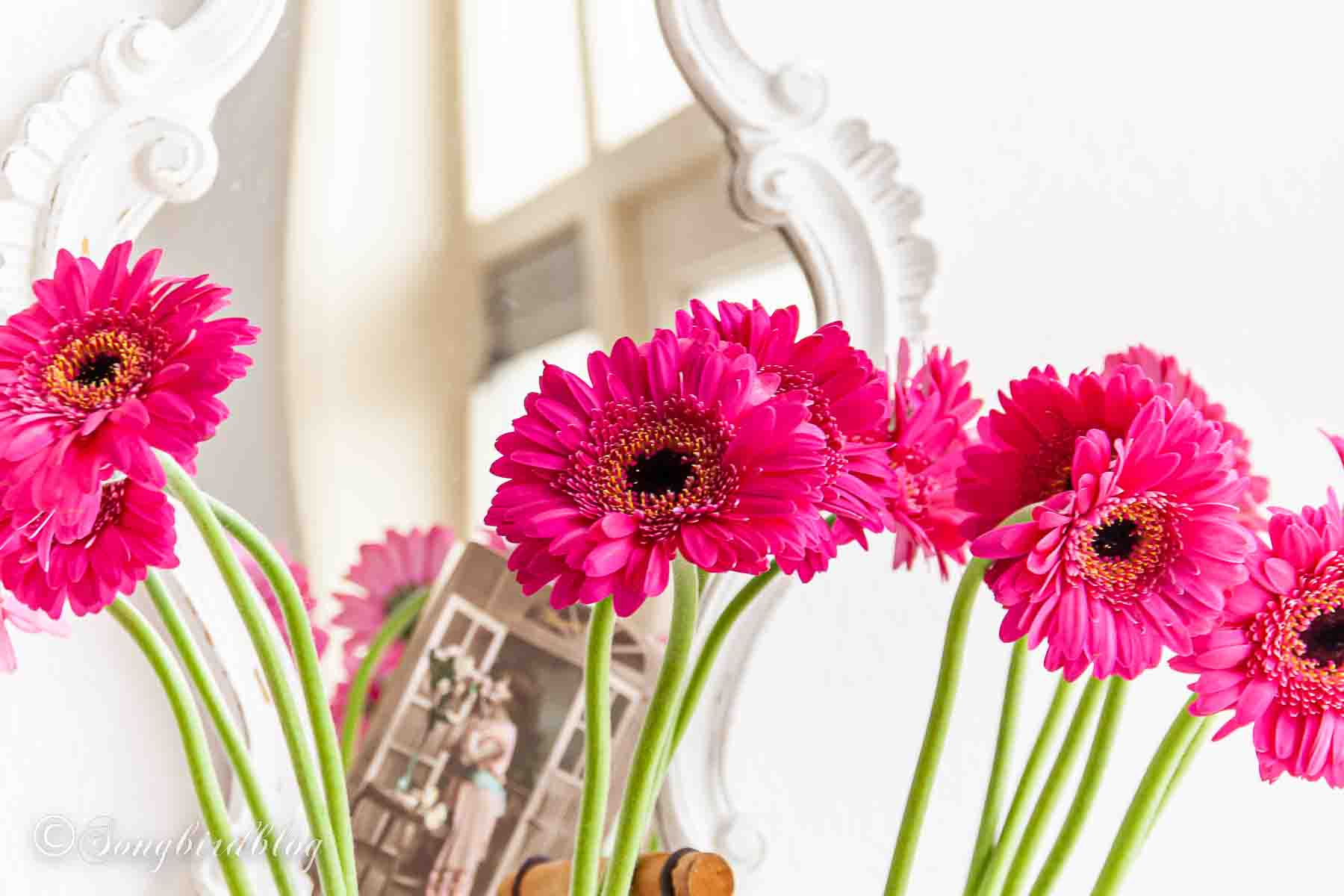 Bright pink dahlia flowers in front of ornate oval mirror.