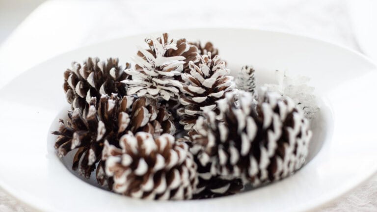 Frosted pinecones in a ceramic bowl as a fall or winter centerpiece.