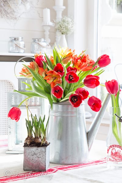 Colorful Spring Decoration: Red Tulips at the Nest