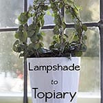 From Lampshade to Topiary