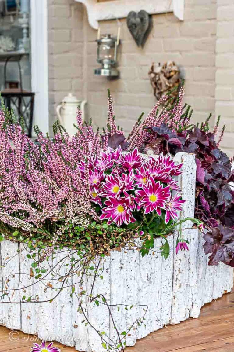 Garden table decoration in pink. Bouquet of small pink roses and a large wooden toolbox with pink heather flowers. Toolbox is covered in stripes of white bark.
